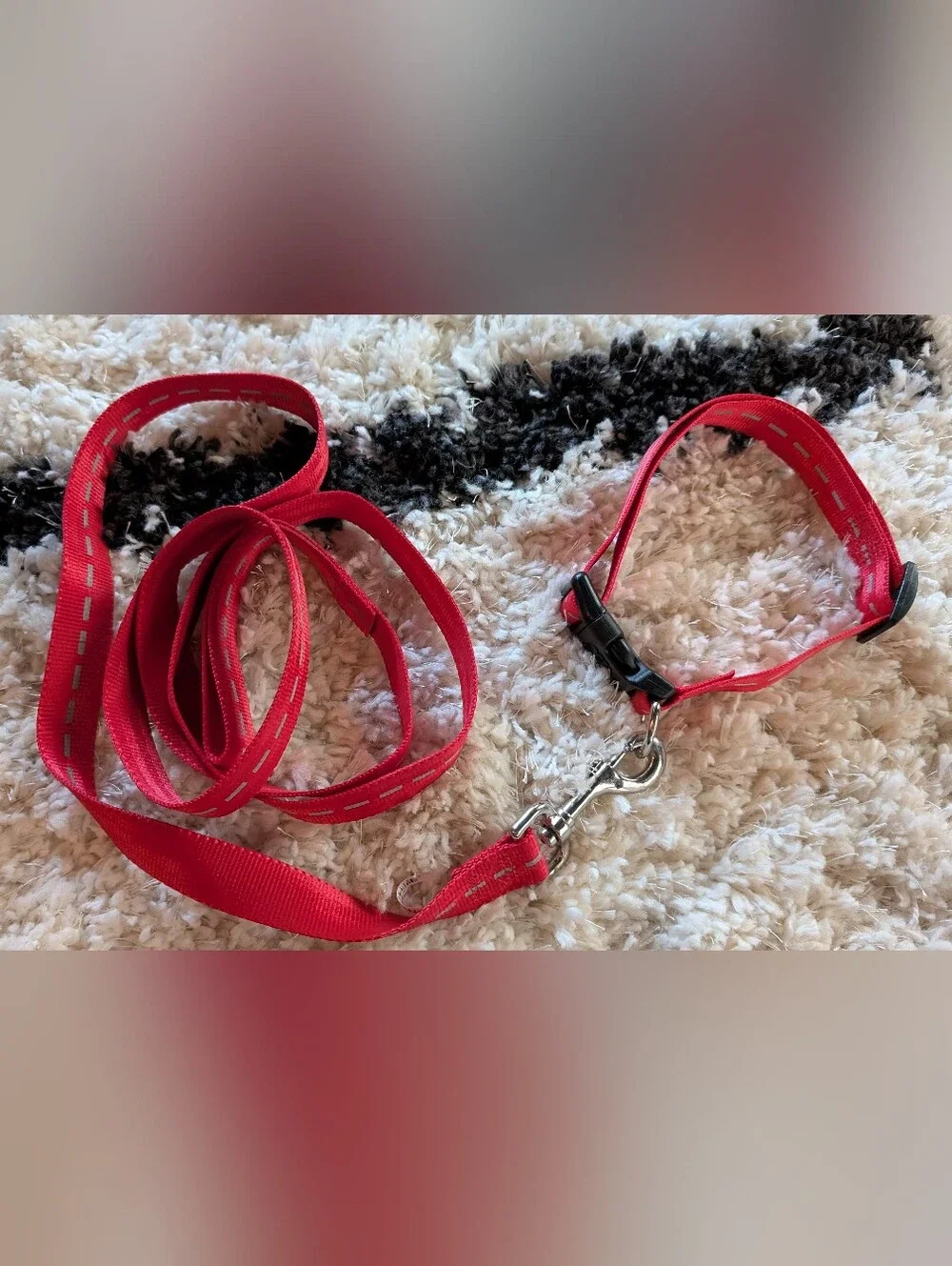Reflective Dog Collar And Leash